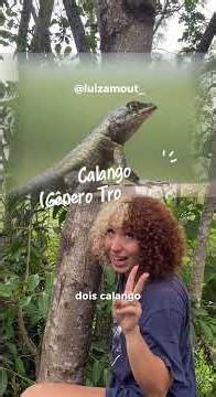 3 ANIMAIS MENOSPREZADOS