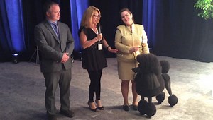 Chrystal Murray and Paul Clas celebrate their Reserve Best in Show win. #caninechronicle #tabletalklive #akcnationalchampionship #caninechronicletv | The Canine Chronicle