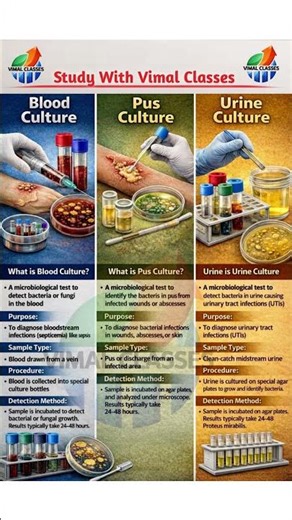 Blood, Pus & Urine Culture Test Explained | Sample, Purpose & Report