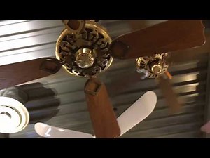 Fanimation Museum Video 3