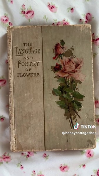 Discovering Vintage Books: A Bibliophile's Guide