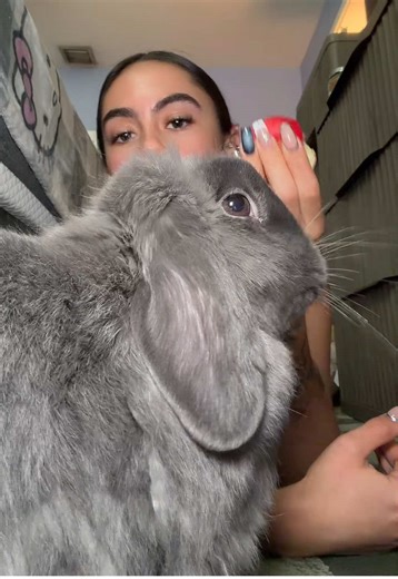 look at him waiting his turn🥹🥹🥹🥹🥹🥹 #rabbitsoftiktok | rabbits