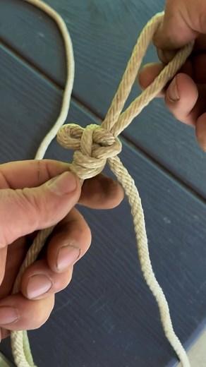 51K views · 294 reactions | Perfection loop tied Slippery #outdoor #knots #rope #ropework #rope #training #skills #forestlife #davecanterbury | David Canterbury | Facebook