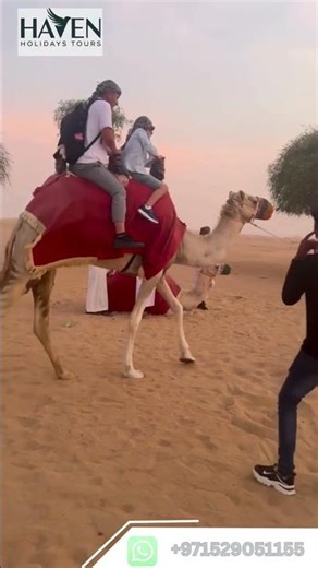 Vip Desert Safari Adventure