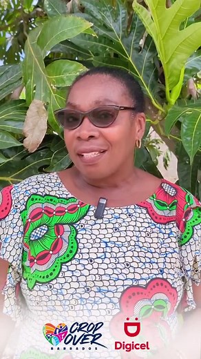 Have you ever wondered how to make tamarind balls and no-bake sugar cakes? Grace Franklin is ready to show how to make these some of your favourite traditional Bajan treats using local products! She'll be hosting two workshops at The Digicel Ceremonial Delivery of The Canes and Vintage Calypso Tent on Saturday: ⭐Tamarind Balls: 3PM - 4PM ⭐ No-bake Coconut Sugar Cakes: 4:30PM - 5:30PM _____________________________________ 🇧🇧 The Digicel Ceremonial Delivery of the Last Canes & Vintage Calypso Te