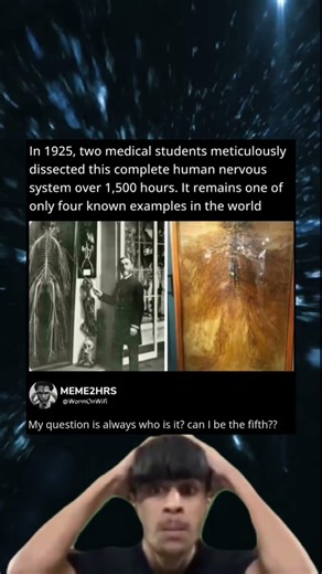 In 1925, two medical students meticulously dissected this complete human nervous system over 1,500