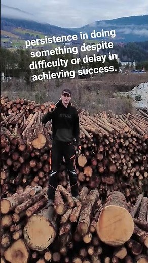 Definition of Perseverance