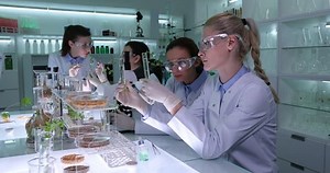 Team of Researchers in Biology Lab Collaborating and Working Plants Laboratory