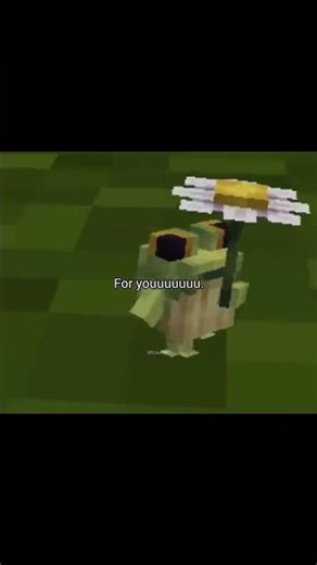 This is for you 🥀#minecraft #growth #meme #trending #minecraftmemes #frog #flower #memepage