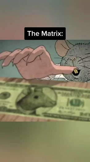 Escape The Matrix: Embrace Freedom and Explore Life