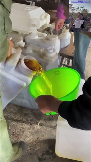 Camellia Oil Finished Product Packaging | On-Site Process