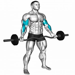 Elite Arm Circuit | Muscle man