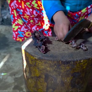 28K views · 262 reactions | 1.Veg and Non-Veg Mix recipe in Village kitchen-Buff dry meat, Squash Roots _ Cauliflower Mix Recipe Part 5 | Village Environment NEPAL | Facebook