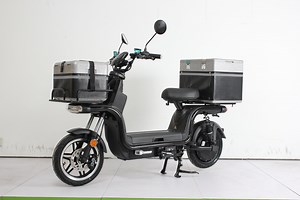 [Hot Item] Syev Flexibly Modified Delivery Motorcycle/Scooter Double Disc with Removable Battery