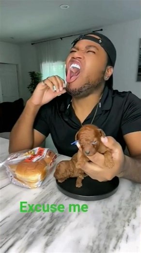 excuse me 😵😵 funny meme #short #memes #funnyviral