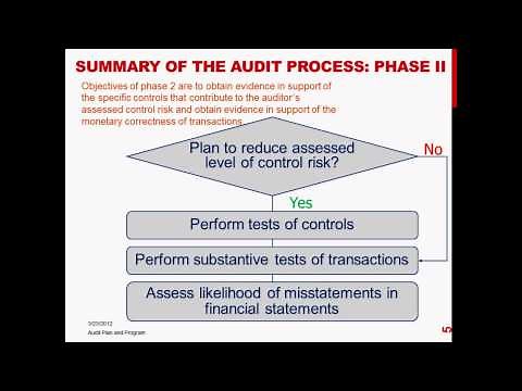 Audit Plan & Program- Auditing- L13- Professor Helen Brown