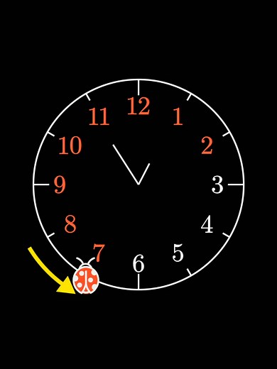 The ladybug clock puzzle