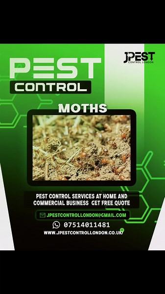 10 years experience guaranteed jobs professional technicians fast and discreet get a free quote 07514011481 #pestcontrol #london #moths #spring