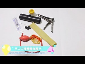 GREAT FARM Semen collection device for Cattle and sheep