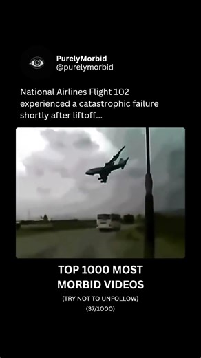 National Airlines 102 Cargo Crash Disaster ✈️💥☠️