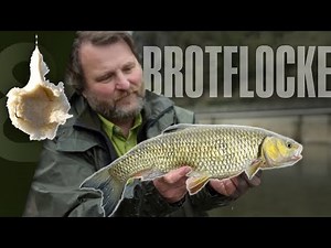 Cheap fishing bait: Use bread flakes for coarse fish in the river 🍞