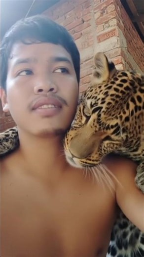 my friend Tigger #viral #shorts #youtubeshorts