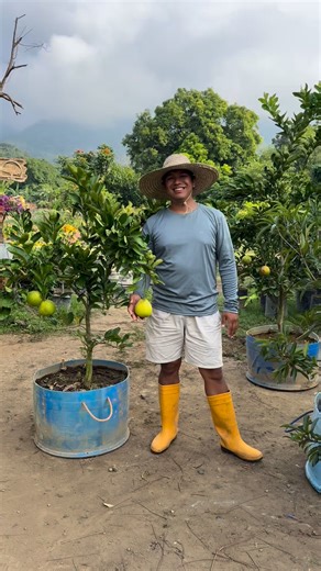 🌿 Delivery to San Jose, Batangas 🌿 Nature on the move, bringing greener days and fresh beginnings straight to your home. 🍃 Thank you for trusting Matheas Garden, where every plant is grown with love and care. 🌱 #MatheasGarden #DeliveryToSanJoseBatangas #NatureDelivered #GreenLiving #PlantLove #GardenLife #FromOurGardenToYours #GrowWithNature 🌼 | Mathea's Garden: Plant & Tree Nursery