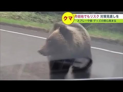 車と衝突も…北海道でクマ出没過去最多ペース 市街地でも繰り返し目撃情報 対策見直しへ"クマよけグッズ"の関心高まる (23/06/05 19:30)