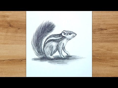 How to Draw a Squirrel Step by Step | Pencil Drawing for Beginners