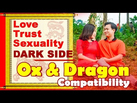 Ox and Dragon Compatibility in Love, Life, Trust, and Intimacy | Ox and Dragon Chinese Zodiac Compat