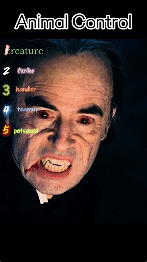 Harker Finds Dracula’s Coffin Chamber 😱🩸⚰️🕯️ #youtubeshorts #movie