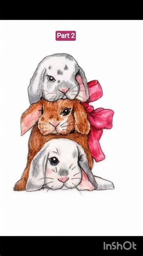 Cute Rabbits Drawing Step by Step | Colour Pencil Shading #viral #drawing #animal#art #shortfeed