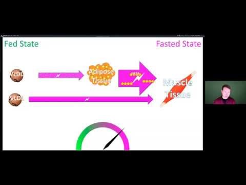 Stanford University Lecture for the Lipid Energy Model