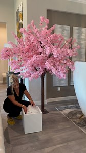 7.7K reactions · 12 shares | This Cherry Blossom Tree Is Everything!!!!朗勺 Comment CHERRY BLOSSOM TREE and I will send you link for the tree, planter, moss, and lights. Or click Linktree in my bio✨ #cherryblossom #cherryblossoms #cherryblossmtree | Tamara Bradshaw | Facebook