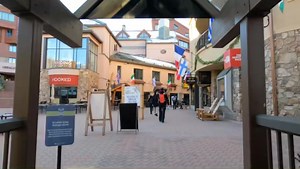 1.3K views · 39 reactions | RACEDAY IS HERE! Read on for tips and...