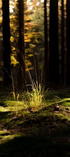 Deepak Mishra | Mud off 😔... कभी एक पल कभी पल पल और कभी हर पल... . . #sadgirl #sad #sadboy #sadedits #love #sadness #o #aesthetic #quotes #frases #storywa... | Instagram