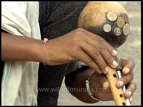 Snake charmer hypnotising the snake!