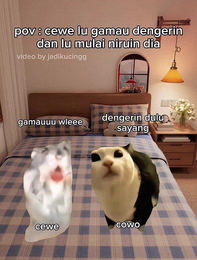 Kucing Meme Lucu untuk Penggemar Kucing