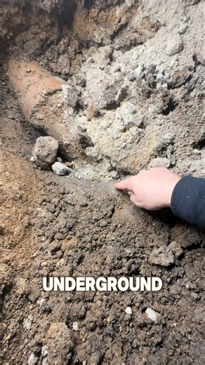 Cheddars Plumbing Co. LLC on Instagram: "installing a backwater valve #plumbing #milwaukeetools #milwaukeetool #nothingbutheavyduty"