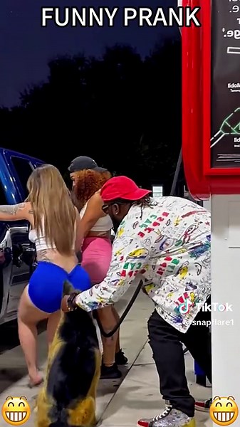 Funny Fake Dog Pranks That Will Make You Laugh