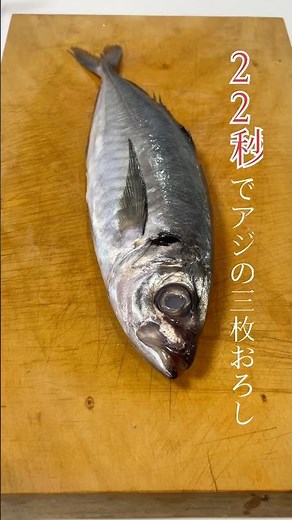 おそろしく早い鯵（あじ）の三枚おろし #魚 #海鮮好き #cooking #料理 #おつまみ #刺身 #アジ #三枚おろし #shorts