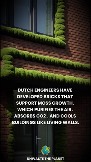 Dutch engineers working through the startup Respyre have developed bioreceptive concrete bricks designed to support moss growth, allowing buildings to become living parts of the urban ecosystem. The technology focuses on integrating moss directly into building materials rather than adding greenery afterward. The bricks are engineered with a porous, mineral-based structure that retains moisture and nutrients while remaining compatible with construction standards. Moss can grow on the surface with