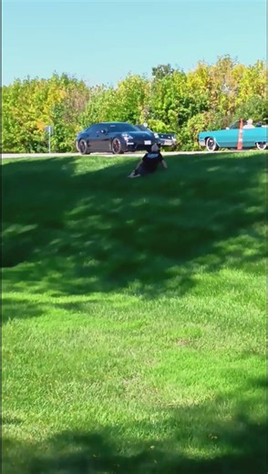 Classic Cadillacs Roll In #cadillac