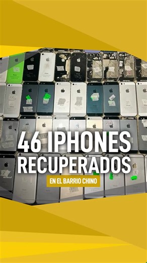 📌 La Fuerza Especial de Lucha Contra el Crimen (Felcc) de #Cochabamba exhibe 46 celulares iPhone recuperados durante un operativo en el Barrio Chino. Los propietarios pueden recuperarlos con un documento que avale su pertenencia. 🗓️ 26/01/2026 #sociedad #economía #seguridad #celulares #btvinforma #SiempreBolivia
