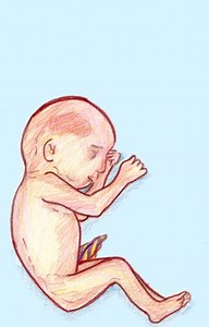 CIR Y PEG: MANEJO - Aula Ginecología