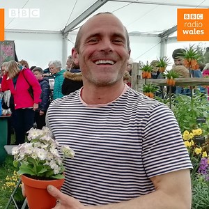 2.2M views · 40K reactions | Such a lovely story 李 When Simon's dad died, he left him the most beautiful and unique gift... #RHSCardiff #Auriculas RHS - Royal Horticultural Society | BBC Radio Wales | Facebook