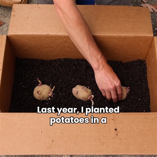 5.5K views · 71 reactions | 10 FREE Clever Household Hacks!  | Team Grow | Facebook