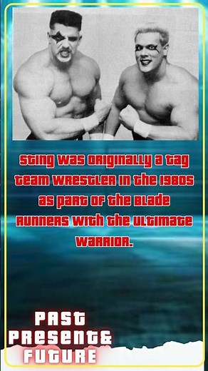 Blade Runners : Sting & The Ultimate Warrior