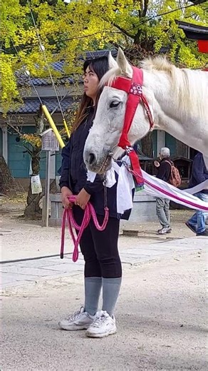 Shinshin-sai 20231120