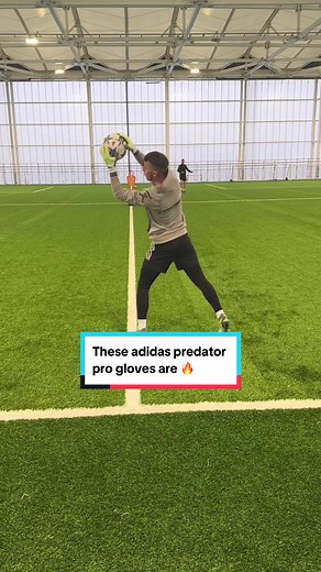 Adidas Predator Pro Gloves Review